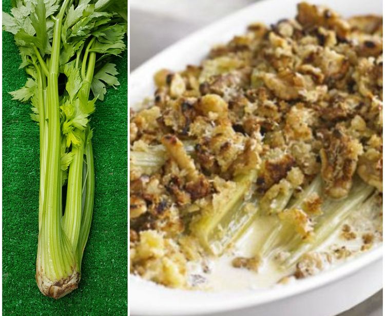 Creamy Celery Gratin Bellfield Organics