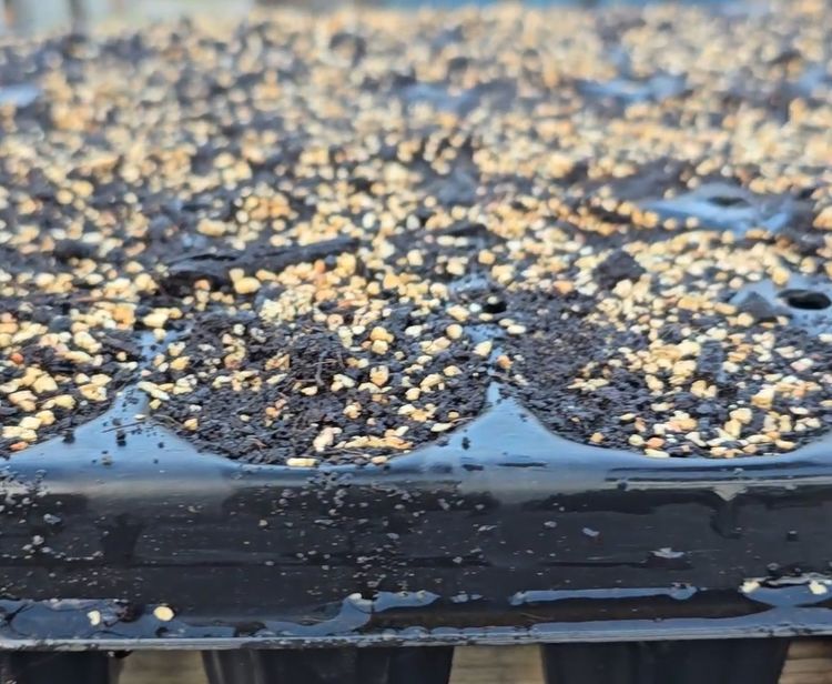 Lorem ipsum dolor sit amet news article image