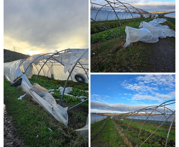 Lorem ipsum dolor sit amet news article image