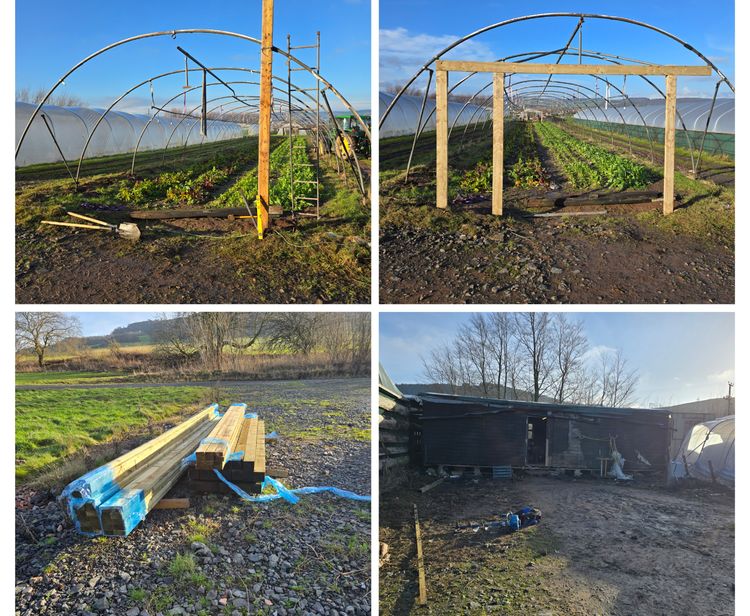 Lorem ipsum dolor sit amet news article image