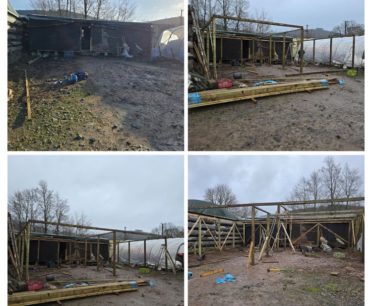 Lorem ipsum dolor sit amet news article image