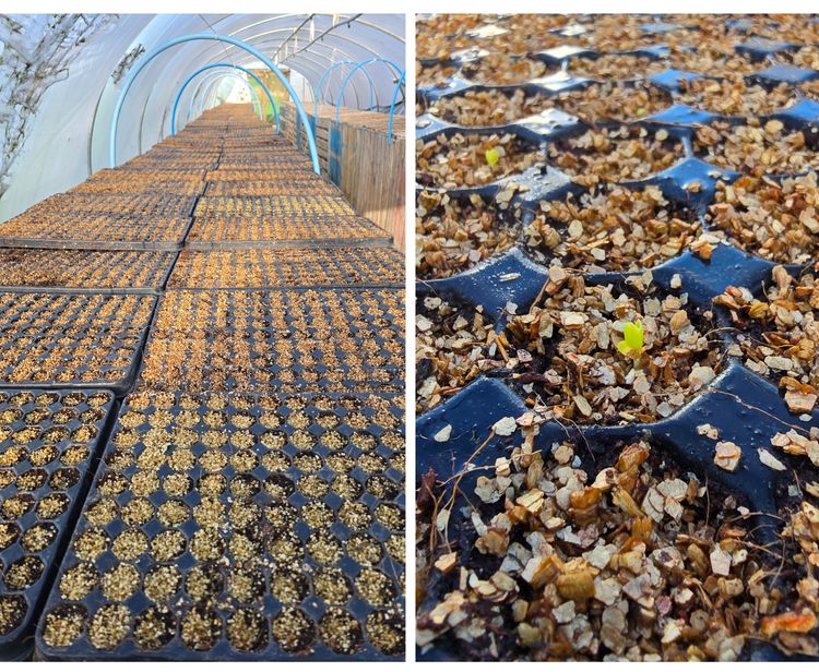 Lorem ipsum dolor sit amet news article image