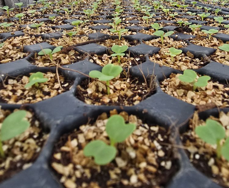 Lorem ipsum dolor sit amet news article image