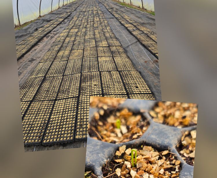 Lorem ipsum dolor sit amet news article image