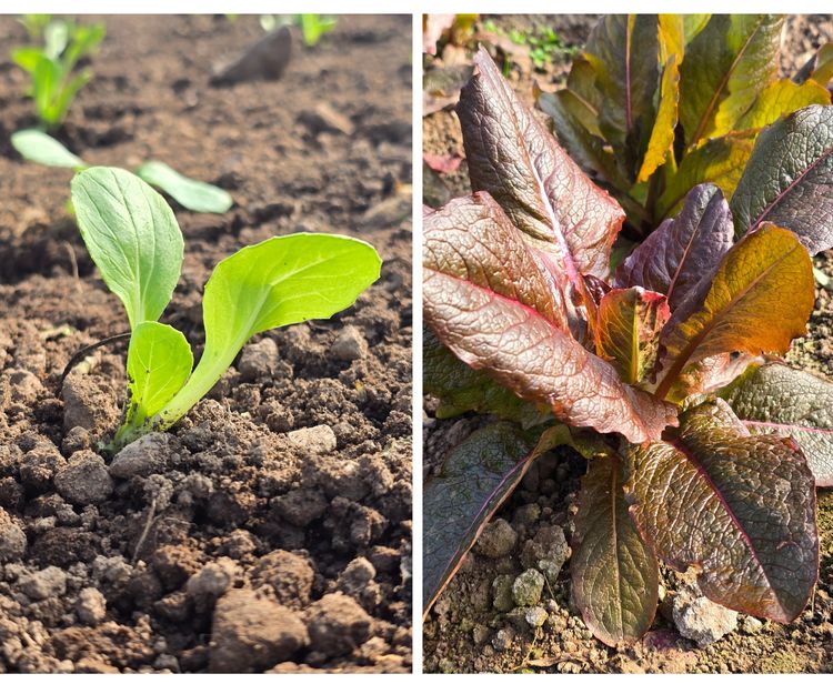 Lorem ipsum dolor sit amet news article image