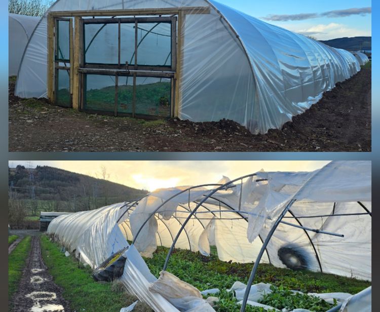 Lorem ipsum dolor sit amet news article image