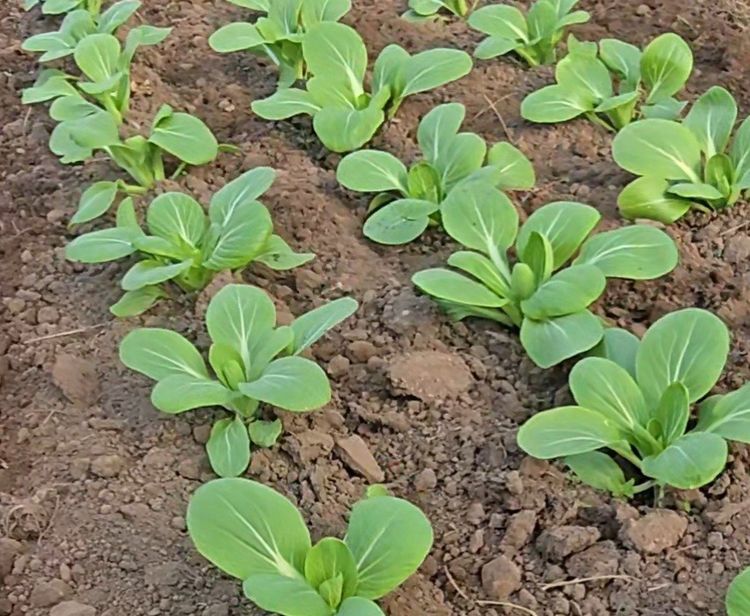 Lorem ipsum dolor sit amet news article image