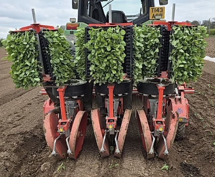 Lorem ipsum dolor sit amet news article image