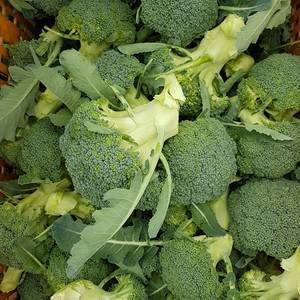  Broccoli (500g )