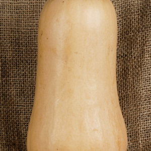  Butternut Squash (es)