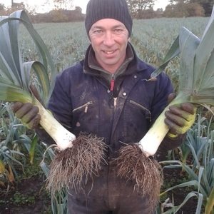 Leeks (1 kilo)