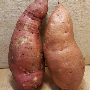  Sweet Potato (1 kilo) (es)