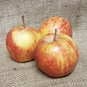 Braeburn (1 kilo) UK