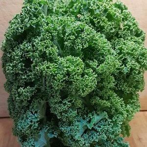  Green kale (150g)