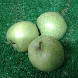 Cooking Apples (1 kilo)