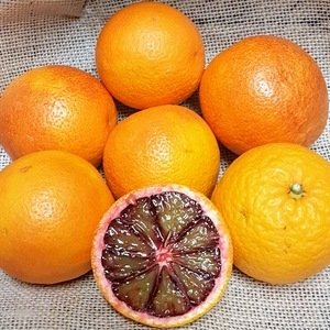 Blood red oranges (es) (kilo)