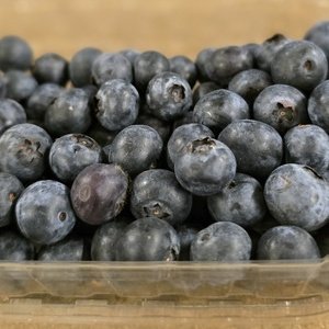 Blueberries
