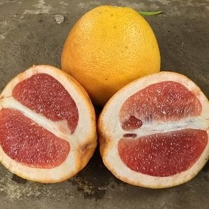 Grapefruit PER KILO
