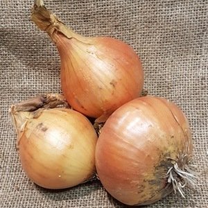  Onions (1 kilo ) 