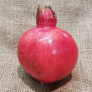 pomegranate (es)