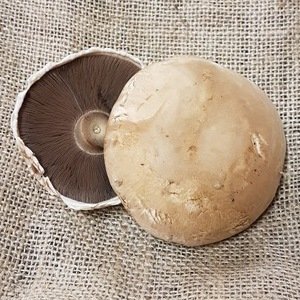 portabella mushrooms (200g)