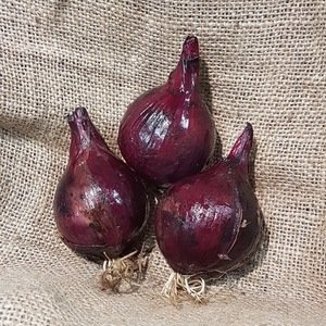 Red Onions (1 kilo ) 