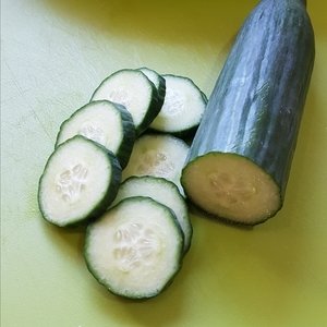 Cucumber