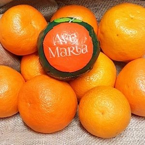 seville oranges (kilo) marmalade